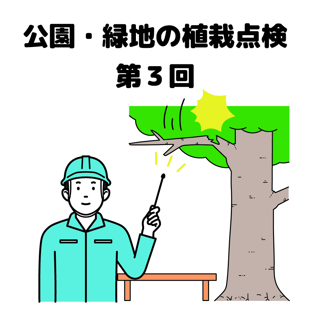 街の樹木NewsLetter Vol.15　1月号　公園・緑地の植栽点検シリーズ第3回－リスクが高い場所はどこだろう？